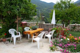 The View - - 5