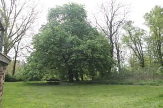 Gutshaus Bartelshagen - - 6