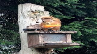 Coach House - Drumnadrochit - 8