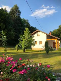 Palučak 30 - - 8
