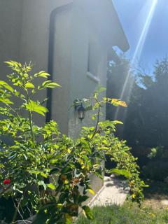 Appartement 3 chambres vue sur Annecy dans maison avec climatisation - Annecy - 7