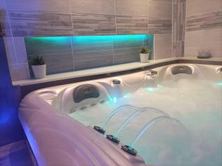 A l'Ombre du Lilas II - avec Spa privatif en supplément - Épinal - 1