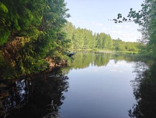 Merikarviantupa1 - Pori - 9