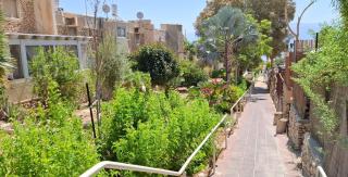 Aloni - Guest house Dead Sea - Neve Zohar - 8
