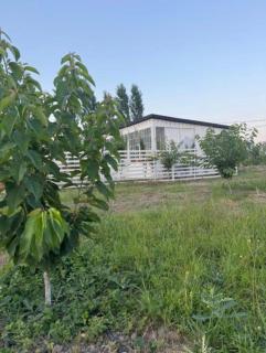 Guba Family garden house - Amsar - 3