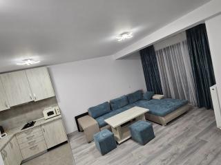 Snow Apartament - Buşteni - 7