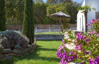 VILLA Proche -MAQUIS AND SEA - Borgo - 8