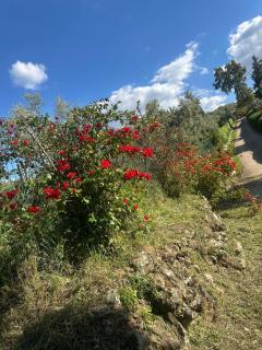 Casa rural La Portilla - 8