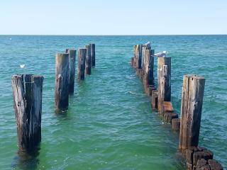 Ahoi Zingst - Zingst - 9