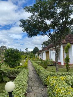 Andasibe Sifaka Lodge - Andasibe - 1