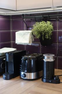 Pop Hill Residence & SPA - Sremska Kamenica - 1