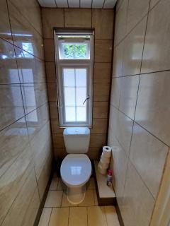 Smallest bird's HAVEN - 1