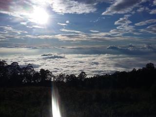 Altaf's inn - Kodaikanal - 9