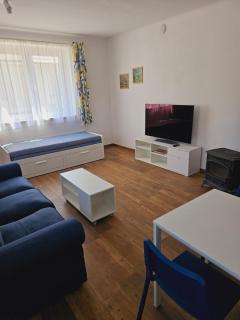 Apartman Hanzky - Veselí nad Lužnicí - 7