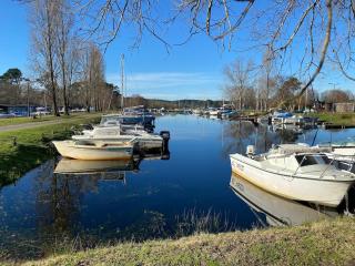 Maison chaleureuse dans les Landes à 2 min du lac et 25 min de Plage Biscarosse en voiture - 4