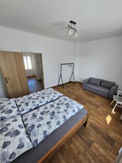 Apartman Hanzky - Veselí nad Lužnicí - 3
