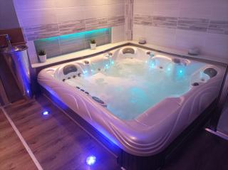 A l'Ombre du Lilas II - avec Spa privatif en supplément - Épinal - 7