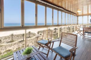 Ag Bermudas Deluxe - 5