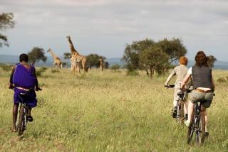 Rangelands Camp - Nairobi - 5