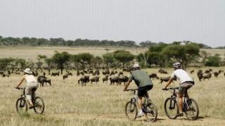 Rangelands Camp - Nairobi - 4