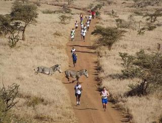 Rangelands Camp - Nairobi - 2
