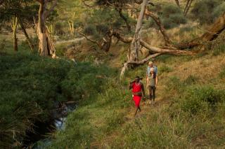 Rangelands Camp - Nairobi - 3
