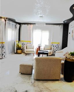 Chic 2BR Apt 8min to Airport Family& work ready - Kairo - 1