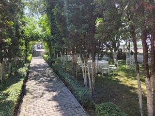 FLORA Garden - Filiaşi - 9