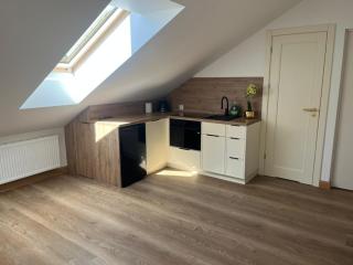 Apartamenty Leśna Przystań Kazub nr 12 - 1