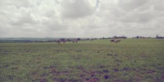 Rangelands Camp - Nairobi - 1