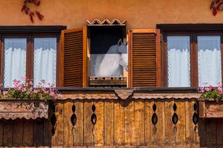 la locanda del carrettiere - Casavecchia - 0