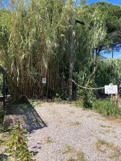 Casa delle rondini, vista mare, a Procchio! - Procchio - 9