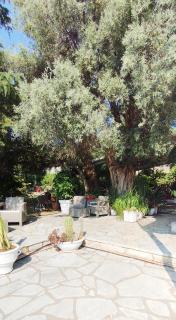 Xenia & Antonis - Nikiana - 2