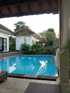 Lovina villa cinta - Lovina - 4