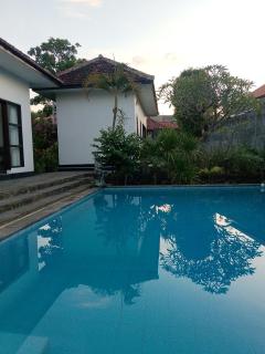 Lovina villa cinta - Lovina - 3