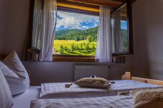 Gipfelglück Appartements - Bike & Hike - Bad Kleinkirchheim - 0