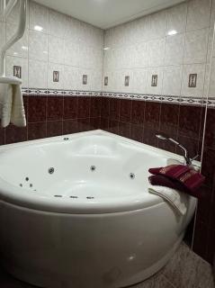 Old Riga Gem with Private Sauna - Tīnūži - 6