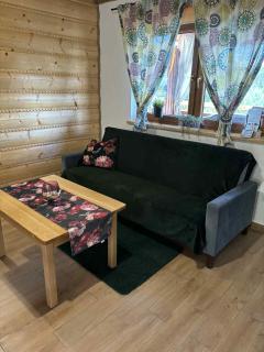 Bieszczadzki Bohater Domki 533-502-137 - Polańczyk - 3