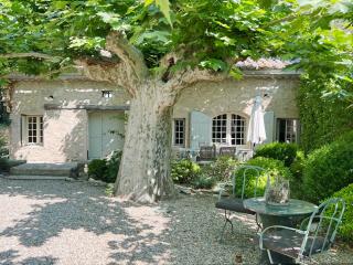 MAS PILY - Saint-Rémy-de-Provence - 8