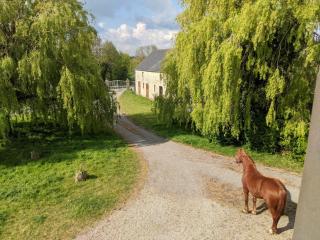 Chambre des moutons - Sainte-Marie-du-Mont - 4