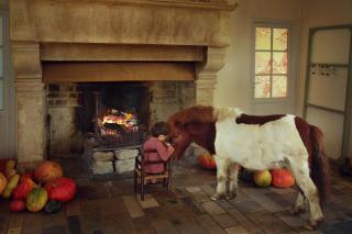 Chambre des moutons - Sainte-Marie-du-Mont - 6