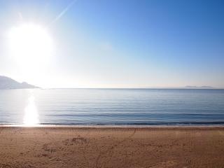 LA PLAGE 29A - Roses - 7