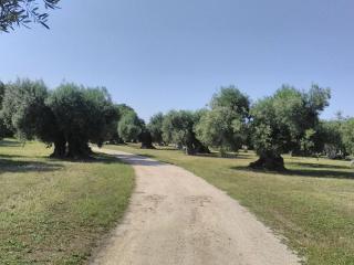 grottedisileno - Castellaneta - 8