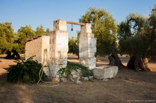 grottedisileno - Castellaneta - 6