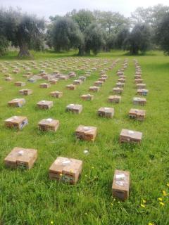 grottedisileno - Castellaneta - 5