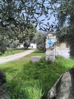 grottedisileno - Castellaneta - 4