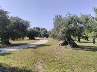 grottedisileno - Castellaneta - 3