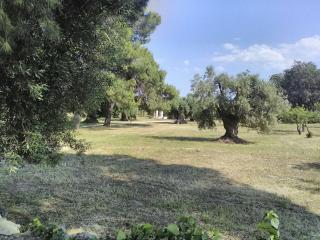 grottedisileno - Castellaneta - 2