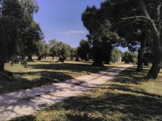 grottedisileno - Castellaneta - 1