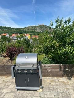 Apartmány Maidenburg - Pavlov - 3